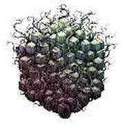 Album-Review: TesseracT - Polaris / Errai TesseracT: Polaris / Errai