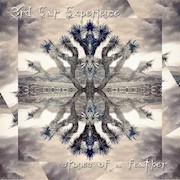 Album-Review: 3rd Ear Experience - Stones Of A Feather 3rd Ear Experience: Stones Of A Feather