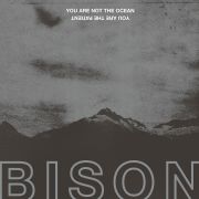 Album-Review: Bison - You Are Not The Ocean You Are The Patient Bison: You Are Not The Ocean You Are The Patient