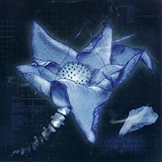 Album-Review: Counter-World Experience - Leaving Lotus (2006) - Remastered Edition Counter-World Experience: Leaving Lotus (2006) - Remastered Edition