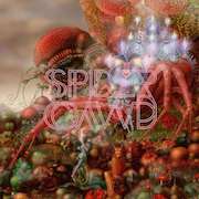 Album-Review: Spidergawd - IV Spidergawd: IV