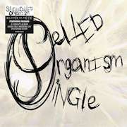 Album-Review: Single Celled Organism - Splinter In The Eye Single Celled Organism: Splinter In The Eye