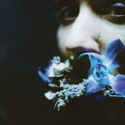 Album-Review: Circuit des Yeux - Reaching for Indigo Circuit des Yeux: Reaching for Indigo