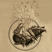 Album-Review: Giant Hedgehog - Die Irrealität der Zeit Giant Hedgehog: Die Irrealität der Zeit
