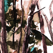 Album-Review: Hop Along - Bark Your Head Off, Dog Hop Along: Bark Your Head Off, Dog