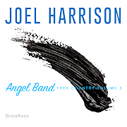 Album-Review: Joel Harrison - Angel Band – Free Country Volume 3 Joel Harrison: Angel Band – Free Country Volume 3