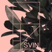 Album-Review: Svin - Virgin Cuts Svin: Virgin Cuts