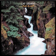 Album-Review: Cat Stevens - Back To Earth Cat Stevens: Back To Earth