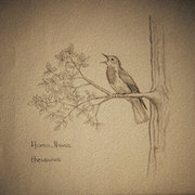 Album-Review: Homo Novus - Thesaurus Homo Novus: Thesaurus