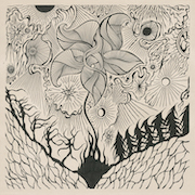 Album-Review: Jordsjø - Nattfiolen Jordsjø: Nattfiolen