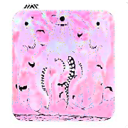 Album-Review: Nap - Ausgeklingt Nap: Ausgeklingt
