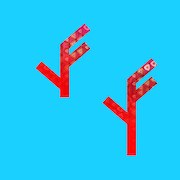 Album-Review: Owls Are Not - Radio Tree Owls Are Not: Radio Tree