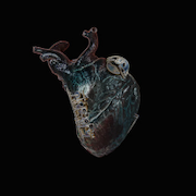 Album-Review: Seamus Blake - Guardians Of The Heart Machine Seamus Blake: Guardians Of The Heart Machine