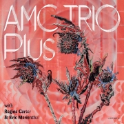 Album-Review: AMC Trio - Plus AMC Trio: Plus