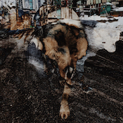 Album-Review: Joe Volk + Naiare - Primitive Energetics Joe Volk + Naiare: Primitive Energetics