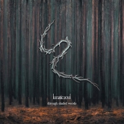 Album-Review: Lunatic Soul - Through Shaded Woods Lunatic Soul: Through Shaded Woods