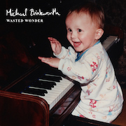 Album-Review: Michael Brinkworth - Wasted Wonder Michael Brinkworth: Wasted Wonder