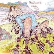 Album-Review: Needlepoint - Walking Up That Valley Needlepoint: Walking Up That Valley