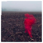 Album-Review: Will Varley - The Hole Around My Head Will Varley: The Hole Around My Head