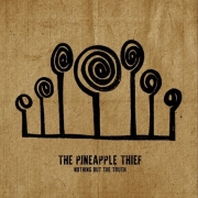 Album-Review: The Pineapple Thief - Nothing But The Truth The Pineapple Thief: Nothing But The Truth