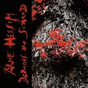Album-Review: Arne Heesch - Demons Are Scared Arne Heesch: Demons Are Scared