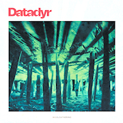 Album-Review: Datadyr - Woolgathering Datadyr: Woolgathering