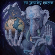 Album-Review: My Sleeping Karma - Atma My Sleeping Karma: Atma