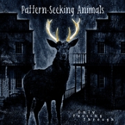 Album-Review: Pattern-Seeking Animals - Only Passing Through Pattern-Seeking Animals: Only Passing Through