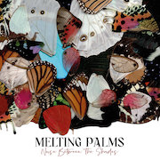 Album-Review: Melting Palms - Noise Between The Shades Melting Palms: Noise Between The Shades
