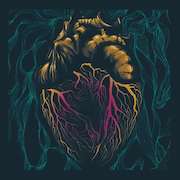 Album-Review: The Shadow Lizzards - Someone’s Heartache The Shadow Lizzards: Someone’s Heartache