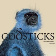 Album-Review: Godsticks - This Is What a Winner Looks Like Godsticks: This Is What a Winner Looks Like