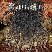 Album-Review: Night in Gales - Black Stream Night in Gales: Black Stream