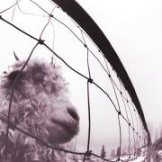Album-Review: Pearl Jam - Vs. (30th Anniversary Edition) Pearl Jam: Vs. (30th Anniversary Edition)