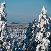 Album-Review: Saiva - Inlandsvinter Saiva: Inlandsvinter