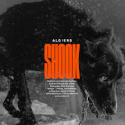 Album-Review: Algiers - Shook Algiers: Shook