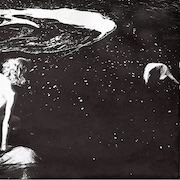 Album-Review: Alice Phoebe Lou - Shelter Alice Phoebe Lou: Shelter