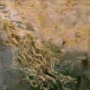 Album-Review: Atsuko Chiba - Water, It Feels Like It's Growing Atsuko Chiba: Water, It Feels Like It's Growing