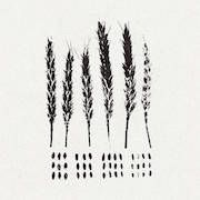 Album-Review: LO! - The Gleaners LO!: The Gleaners