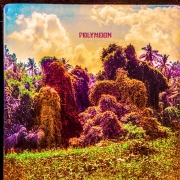 Album-Review: Polymoon - Chrysalis Polymoon: Chrysalis