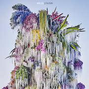Album-Review: Wilco - Cousin – Vinyl-Ausgabe Wilco: Cousin – Vinyl-Ausgabe
