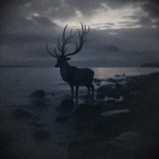 Album-Review: Atlantic - Black Sands Atlantic: Black Sands