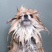 Album-Review: Bilbao - Soaked Bilbao: Soaked