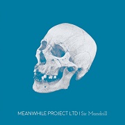 Album-Review: Meanwhile Project LTD - Sir Mandrill Meanwhile Project LTD: Sir Mandrill