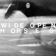 Album-Review: James Vincent McMorrow - Wide Open, Horses James Vincent McMorrow: Wide Open, Horses