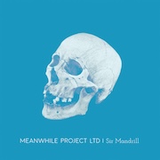 Album-Review: Meanwhile Project LTD - Sir Mandrill – die zweite Meanwhile Project LTD: Sir Mandrill – die zweite