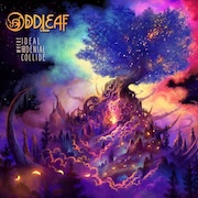 Album-Review: Oddleaf - Where Ideal And Denial Collide Oddleaf: Where Ideal And Denial Collide