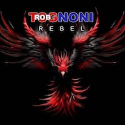 Album-Review: Rob Tognoni - Rebel Rob Tognoni: Rebel