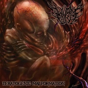 Album-Review: Wurm Flesh - Teratogenic Malformation Wurm Flesh: Teratogenic Malformation
