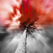 Album-Review: Apoptose - Die Zeit und die Dunkelheit Apoptose: Die Zeit und die Dunkelheit