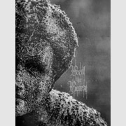 Album-Review: Feed the Beast - Ausgabe 5 Feed the Beast: Ausgabe 5